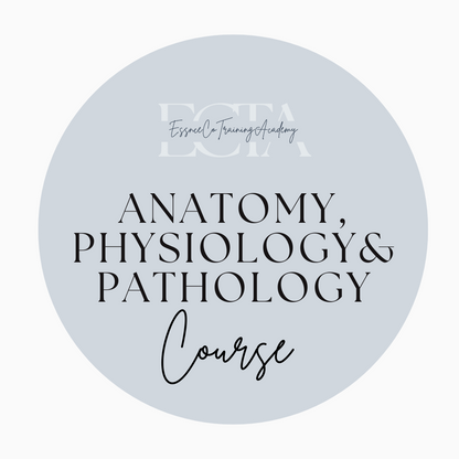 Level 3 Certificate In Anatomy, Physiology and Pathology