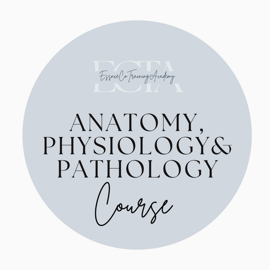 Level 3 Certificate In Anatomy, Physiology and Pathology